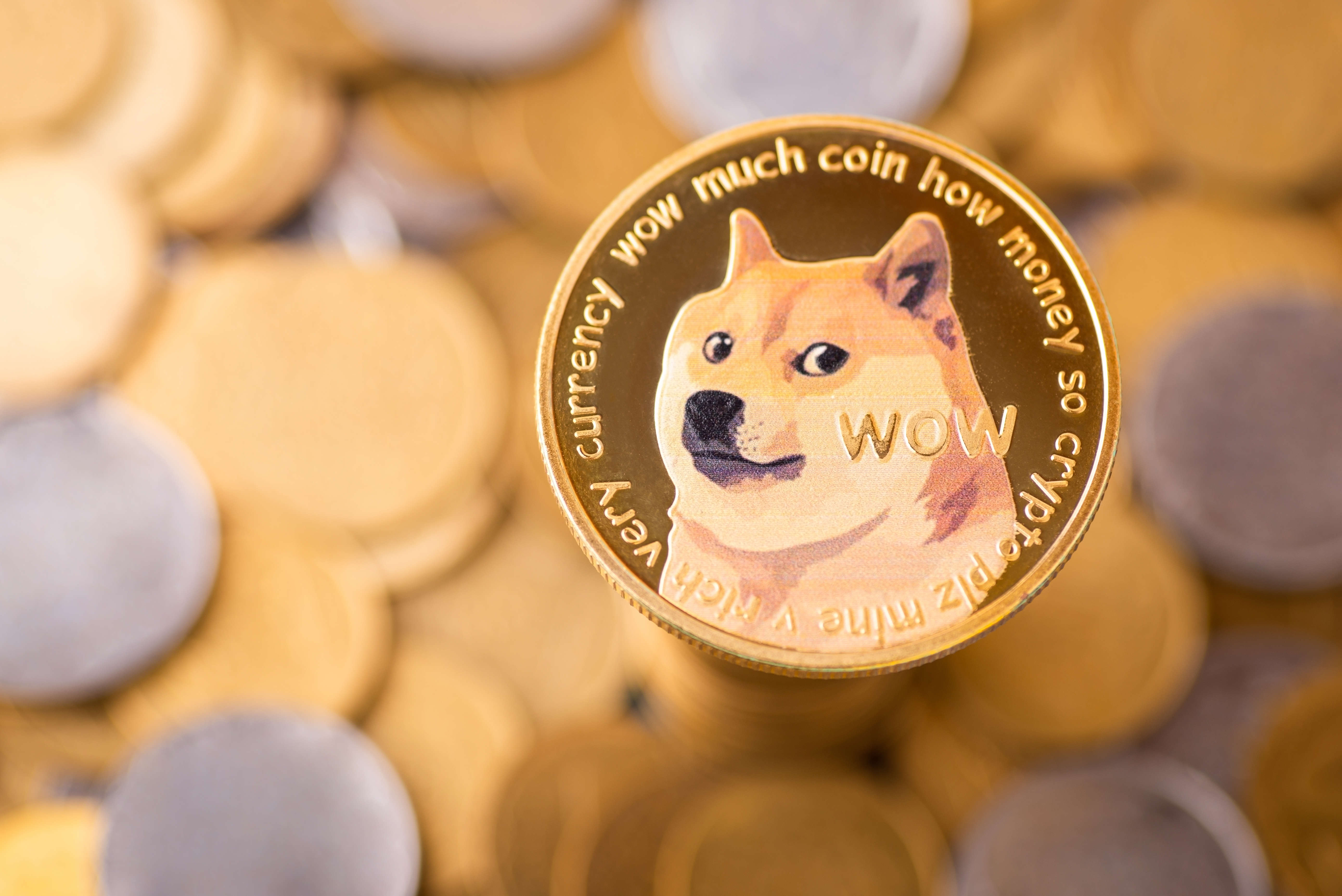 预测DOGE将在2025年1月达到0.75美元,价格飙升85%