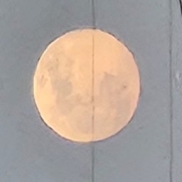 Picture of the author