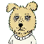 shibussy