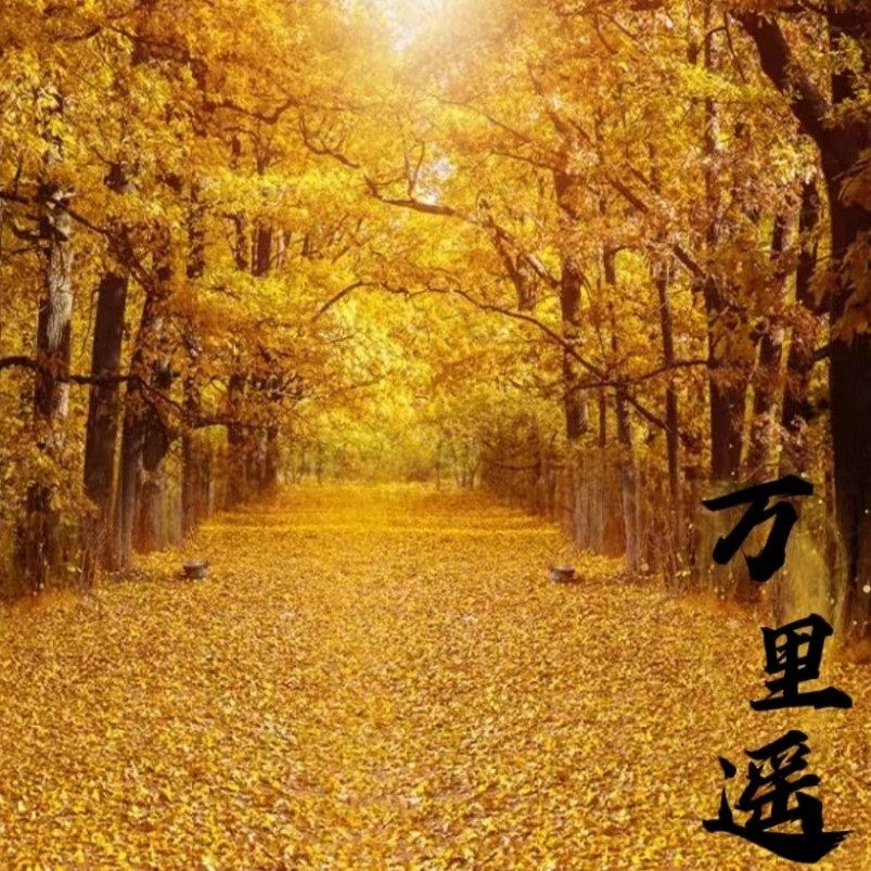 Picture of the author