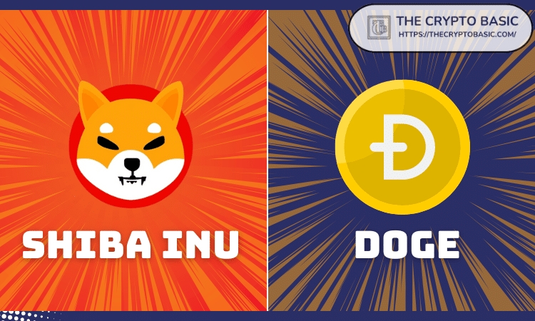 Shiba-Inu-and-DOGE-New1010111101.png