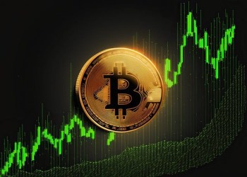 Bitcoin Bull Cycle Remains Far From Over Despite Price Fall – Here’s Why