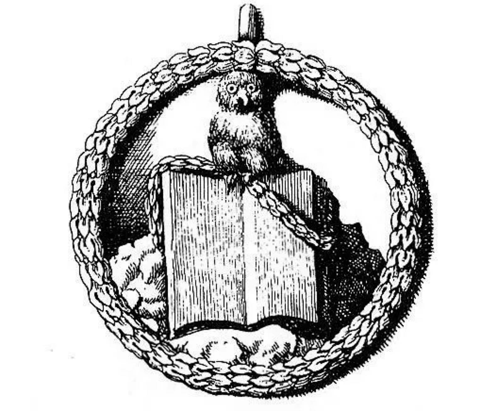 Picture of the author