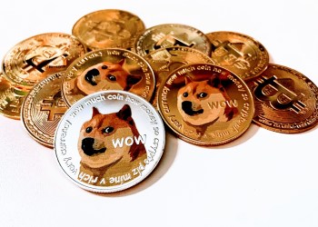 Machine Learning Algorithm Predicts Double-Digit Crash For Dogecoin Price In January 2025