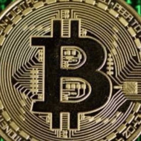 Picture of the author