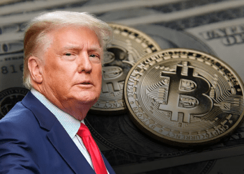 Trump Effect On Crypto: Bitwise CEO Anticipates Merger Boom