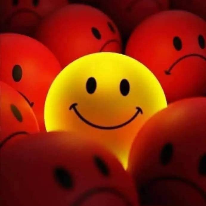 Picture of the author