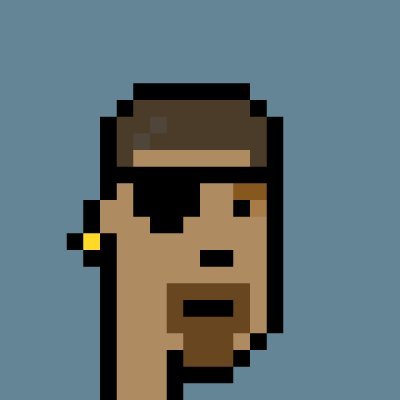 Picture of the author