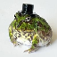 sprout