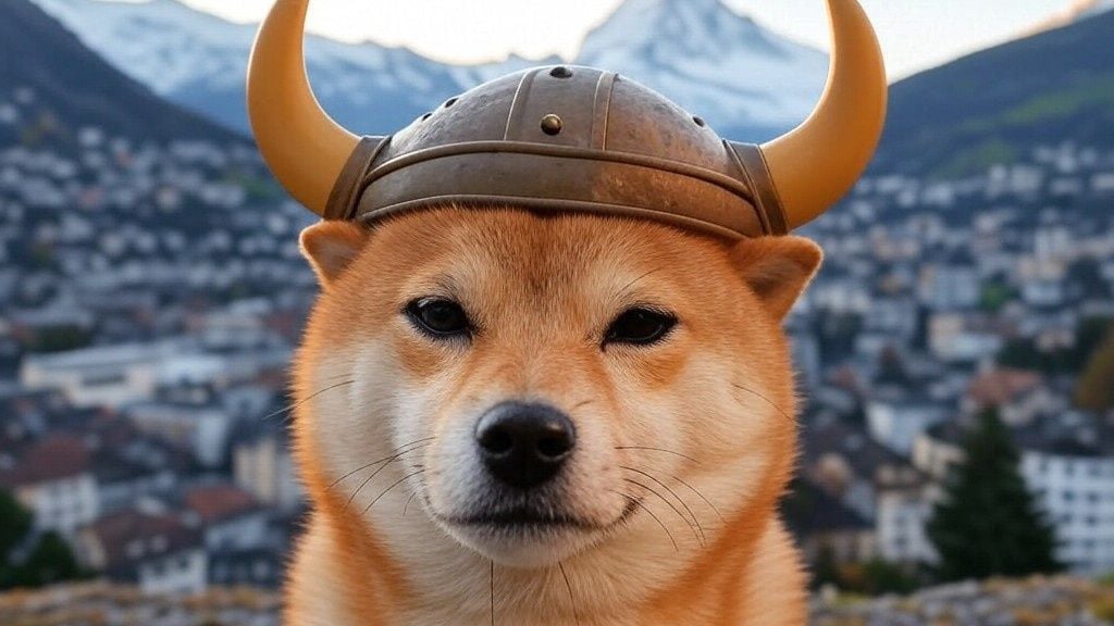9e91e63ad8e94b96ac62ce505cf5ca94.jpeg