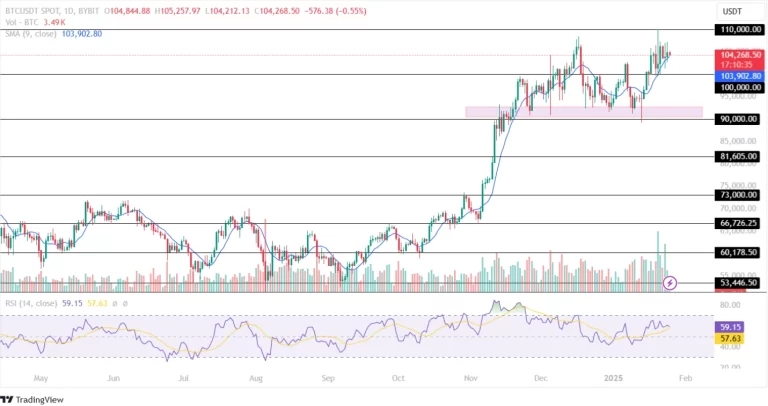 Bitcoin-Price-Analysis-25th-January-2025-768x406.webp