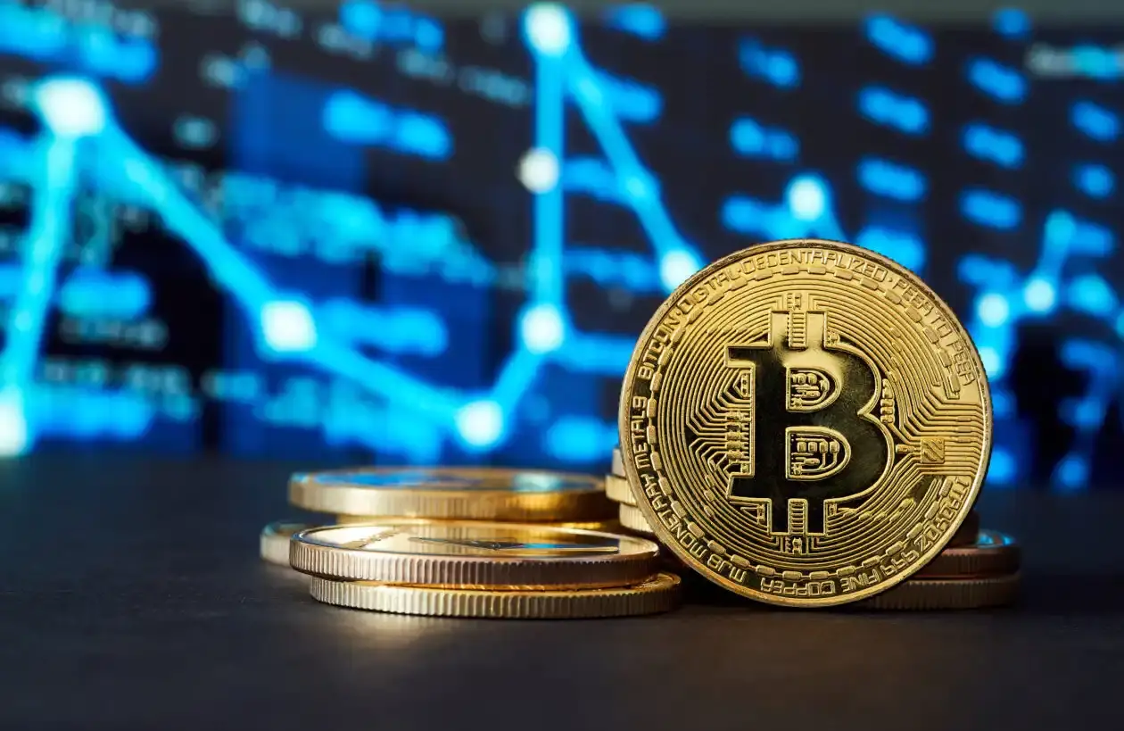 Bitwise 首席投资官:数百家企业将在未来一年半购买比特币