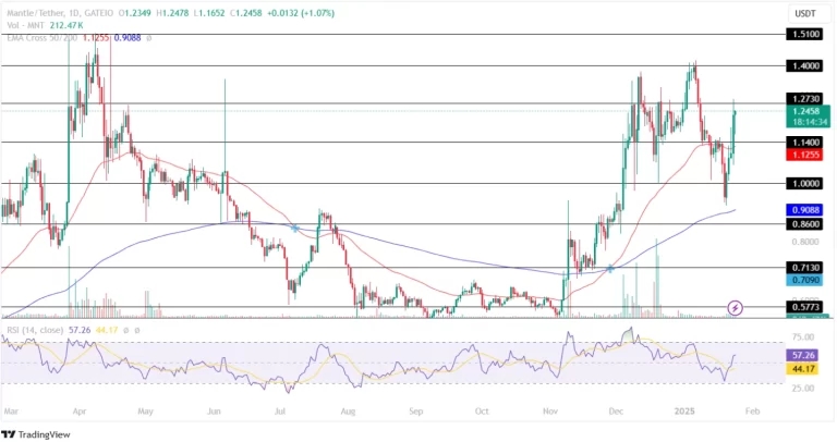 Mantle-Price-Analysis-24th-January-2025-768x406.webp