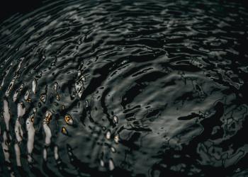 Messari Founder Slams Ripple, Calls It A Risk To Trump’s Crypto Plan