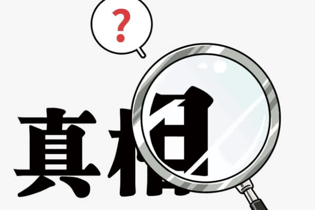 Linus Torvalds参与了$zailgo项目?