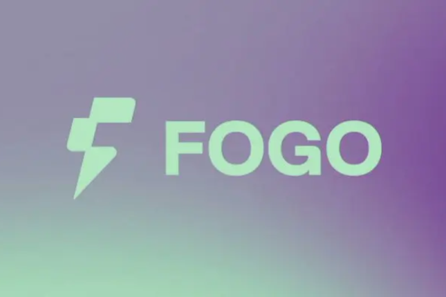 不差钱的SVM新星,Fogo究竟有何亮点?