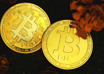 Bitcoin Wallets Holding 10-100 BTC Goes On A Huge Selling Spree Amid Market Volatility