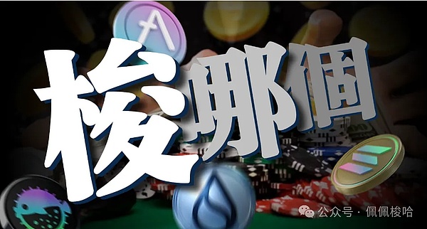 哪个币才是真正的黑马Sol还好吗谈谈Sui的数据Puffer还能买AAVE和Doge有何机遇 - 金色财经