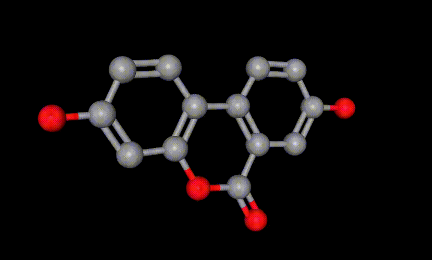 Picture of the author