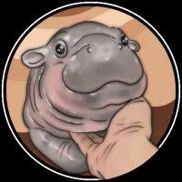 MOODENGETH: A Global Meme Coin Driving Blockchain and Charity