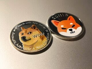 SHIB_DOGE_Coins_31_Small.jpg