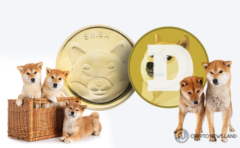 Memecoins-Take-Over-DOGE-and-SHIB-in-Competition-768x472.jpg