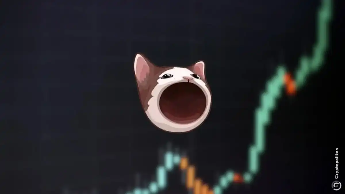 盘点2024年30个加密meme时刻