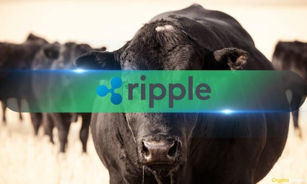 Ripple_Bulls-1024x614.jpg