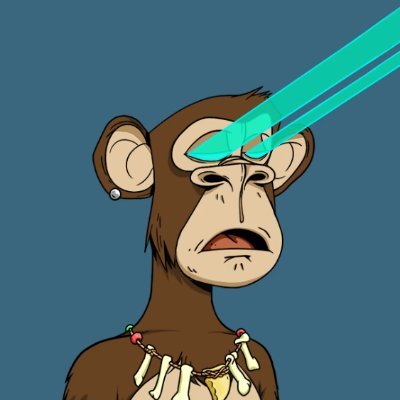 Picture of the author