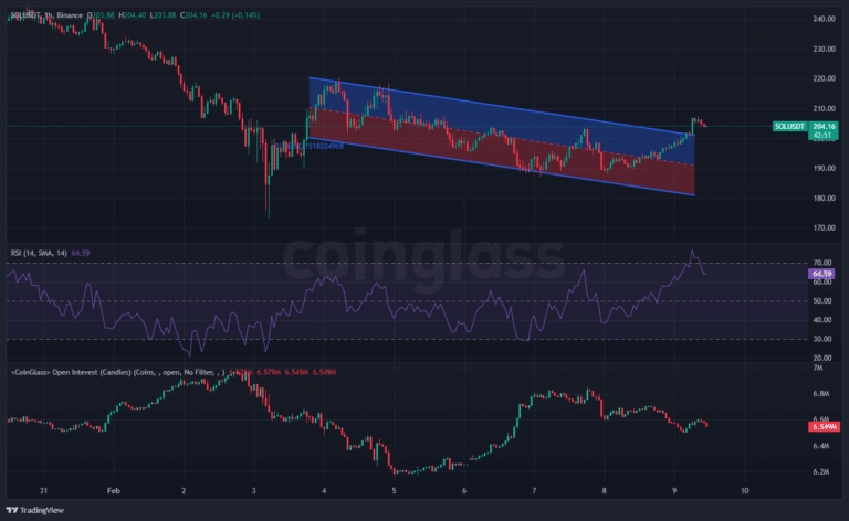 Binance-undefined_2025-02-09_11-17-11-768x472.png