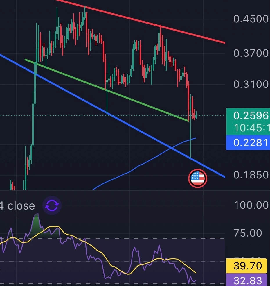 DOGE-Price-Expectations-.webp