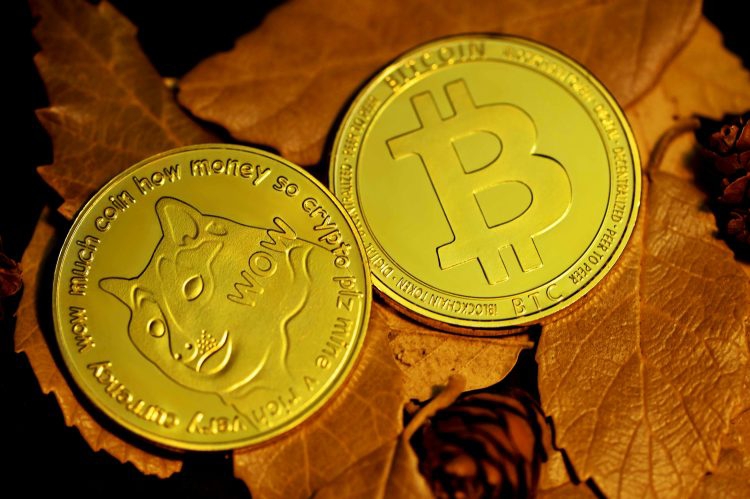Dogecoin-from-Unsplash-57-1.jpg