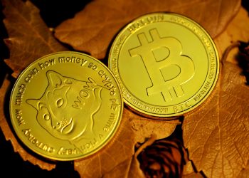 The Calm Before The Storm: Why The Dogecoin Price Is Preparing For Another Explosion Above $0.4