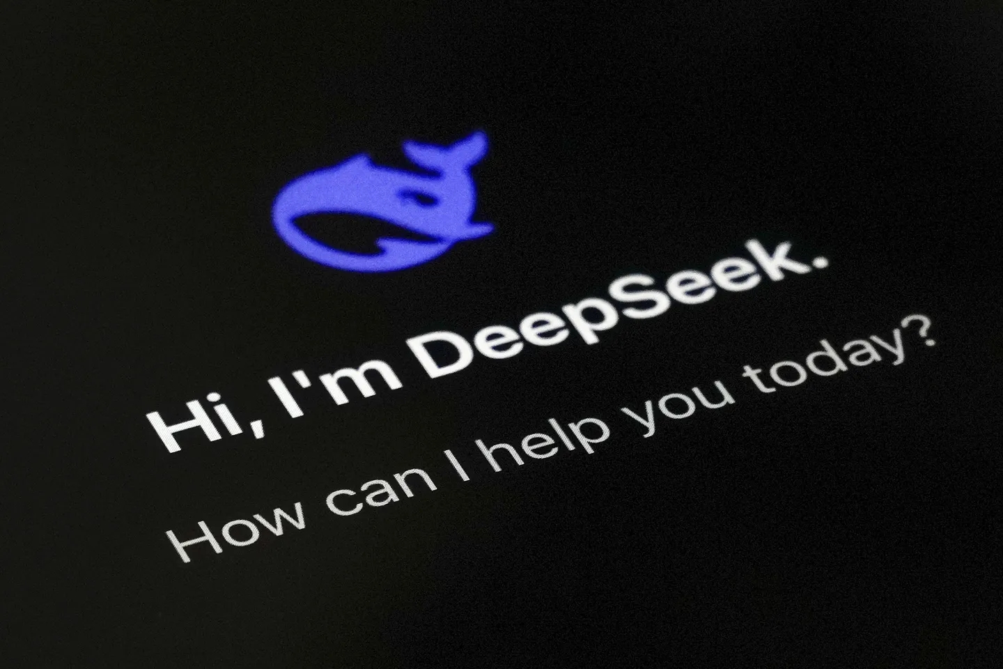 1739068737755.jpg