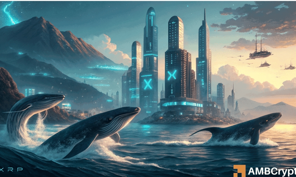 RAEG-1000x600.png
