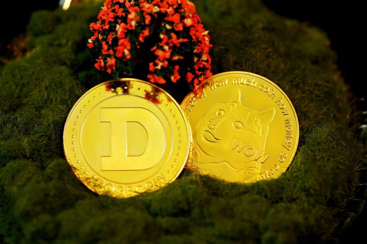 Dogecoin-from-Unsplash-58.jpg