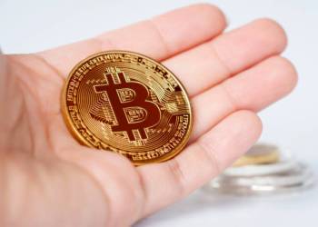 Bitcoin Retail Confidence Grows As Short-Term Holders Step Up Accumulation