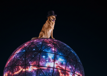 Las Vegas Sphere Rejects Dogwifhat Deal—No Meme Coin Spotlight