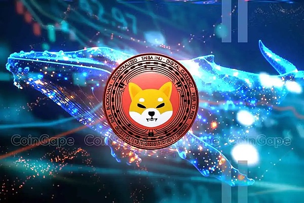 柴鲸猛扑而来 SHIB 集会迫在眉睫