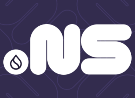 Sui Name Service (NS)暴涨——项目潜力爆发还是昙花一现?