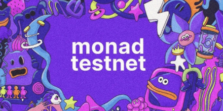 手把手带你交互Monad测试网