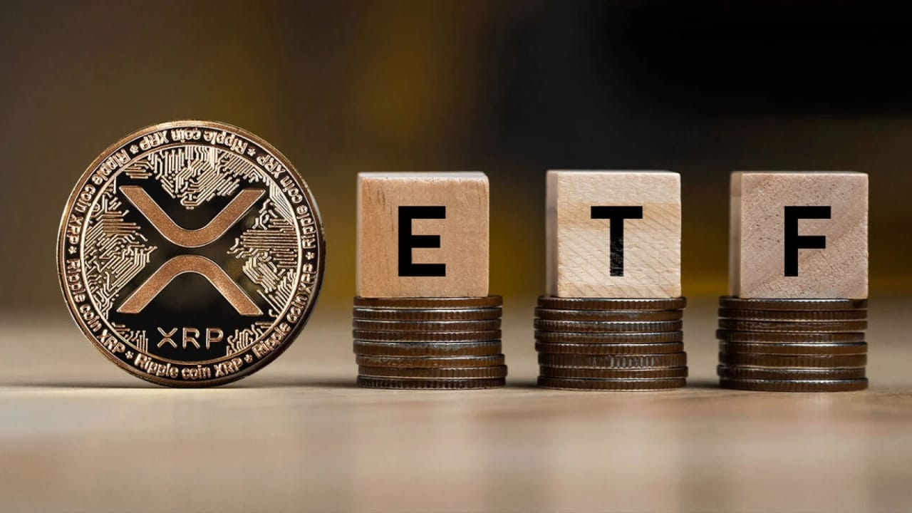 IMG-20250207-WA0015.jpg