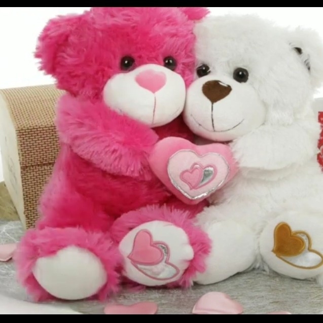 Picture of the author