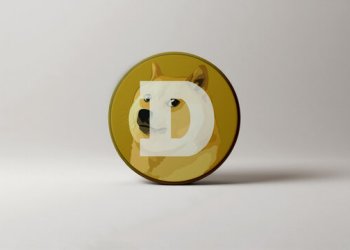 Dogecoin Whales Accumulate Amid Price Crash, Analyst Reveals Catalyst That Could Drive DOGE To $0.5