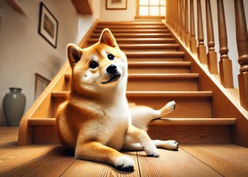 Dogecoin Consolidation Suggests Uptrend Could Continue, But There’s A Threat