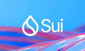 SUI 资金流出 6 亿美元 – 是否即将跌至 1 美元?