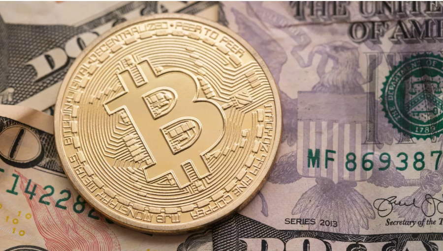 Has the Bitcoin Market Bottomed? Experts Weigh In