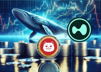 Whale Transfers $3.1M USDC to Hyperliquid, $CATZILLA Gains on Market Optimism