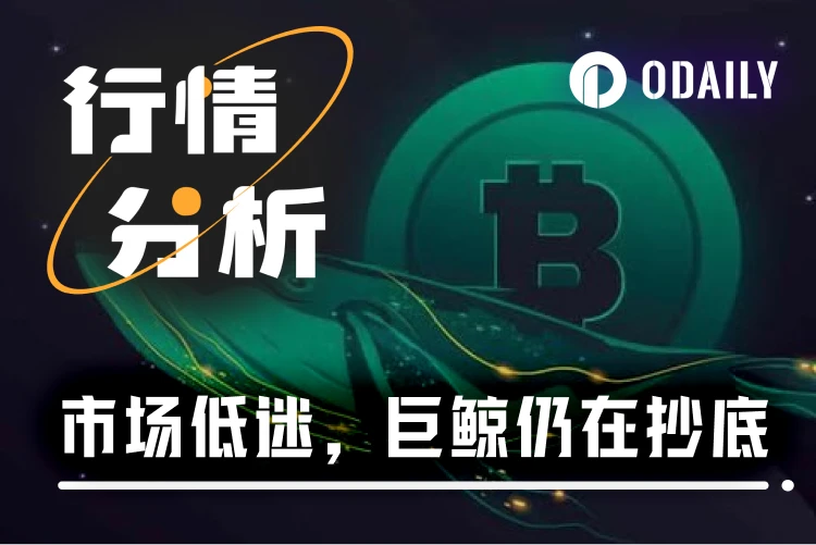 BTC暴跌,机构和巨鲸正在疯狂抄底