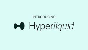 交易破万亿美元，日均 4 亿美元清算额，Hyperliquid 成巨鲸链上「赌场」